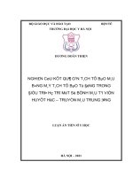 Nghiên cứu kết quả gạn tách tế bào máu bằng máy tách tế bào tự động trong điều trị hỗ trợ một số bệnh máu tại viện huyết học   truyền máu trung ương 