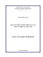 Quản lý chất lượng nhân lực tại Công ty Điện lực Hà Nam (Luận văn thạc sĩ)