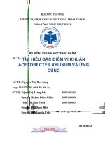 ung dung acetobacter xylinum trong cong nghe thuc pham