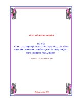 Nâng cao hiệu quả giáo dục đạo đức, lối sống cho học sinh THPT thông qua các hoạt động trải nghiệm, ngoại khoá 