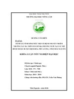 Đánh giá tình hình mắc một số bệnh truyền nhiễm thường xảy ra trên đàn dê địa phương nuôi tại các mô hình thuộc huyện định hóa phú lương tỉnh thái nguyên 