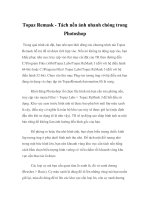 Topaz Remask - Tách nền ảnh nhanh chóng trong Photoshop