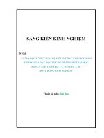 Giáo dục ý thức bảo vệ môi trường cho học sinh thông qua dạy học chủ đề phần sinh thái học  bằng cách thiết kế và tổ chức các hoạt động trải nghiệm 