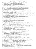 revision for the second term