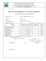 24-05-2021 Soi Cacbon TFC - Freyssinet