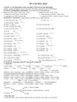 DE CUONG HOA 11 HOC KY 2