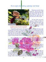 BAI DU THI GUONG SANG NHA GIAO NAM 2010 Bai dat giainhi cap huyen