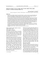 Một số vấn đề lý luận và thực tiễn về phát triển nông thôn ở nuớc ta trong giai đoạn hiện nay