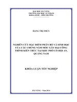 Nghiên cứu đặc điểm phân bố và sinh học của các chủng nấm mốc gây hại công trình kiến trúc tại khu phố cổ hội an, quảng nam  