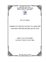 Nghiên cứu trí tuệ cảm xúc của sinh viên năm nhất trường đại học quảng nam  