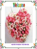 anh 6unit 6 ngoan gui chi Hue