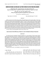 Nghiên cứu nâng cao hiệu quả tạo phôi bò bằng thụ tinh trong ống nghiệm