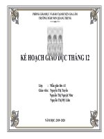 KẾ HOẠCH GIÁO DỤC THÁNG 12 NĂM HỌC 2019-2020 KHỐI MẪU GIÁO LỚN