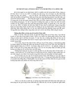 Kiến thức về cơ sở di truyền chọn giống thủy sản: Phần 2