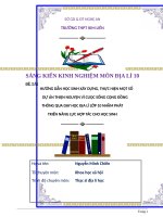 Hướng dẫn học sinh xây dựng một số dự án thiện nguyện vì cuộc sống cộng đồng thông qua dạy học địa lí lớp 10 nhằm phát triển năng lực hợp tác cho học sinh 