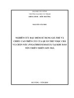 Nghiên cứu đặc điểm sử dụng giá thể và chiều cao trên cây của quần thể voọc chà vá chân nâu (pygathrixnemaeus) tại khu bảo tồn thiên nhiên sơn trà  