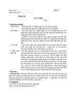 Tiết 47: Câu ghép (Tiếp)