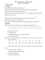 DE CUONG ON TAP HK II TOAN 7