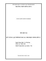 KỸ NĂNG lập TRÌNH PASCAL CHO học SINH lớp 11 