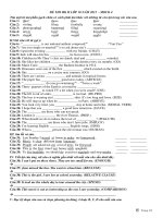 DE THI HK II LOP 10 MOCK 4