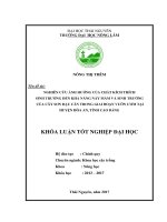 Nghiên cứu ảnh hưởng của chất kích thích sinh trưởng đến khả năng nẩy mầm và sinh trưởng của cây sơn đậu căn trong giai đoạn vườn ươm tại huyện hòa an tỉnh cao bằng 