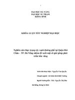 Nghiên cứu thực trạng cây xanh đường phố tại quận hải châu – thành phố đà nẵng nhằm đề xuất một số giải pháp phát triển bền vững  