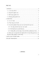 Kinh nghiệm dạy học trực tuyến nhằm nâng cao hiệu quả các giờ dạy nói chung và giờ dạy môn vật lí nói riêng 