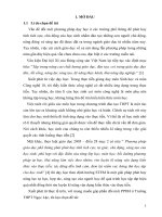 Giải pháp dạy học theo định hướng STEM bài 3 (sinh học 10), bài 5 và bài 14 (công nghệ 10)   dự án sản suất và kinh doanh rau sạch theo phương pháp thủy canh và thổ canh 