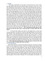 Một số giải pháp góp phần nâng cao hiệu quả dạy học sinh yếu, kém ở lớp 12 trong môn địa lí ở trường THPT mai anh tuấn 