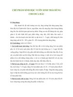 che pham sinh hoc danh cho dua hau