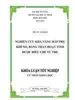 Nghiên cứu khả năng hấp phụ khí no2 bằng than hoạt tính được điều chế từ tre  