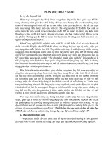 Thiết kế và tổ chức một số chủ đề giáo dục STEM gắn với bảo vệ môi trường trong dạy học bộ môn công nghệ 10 