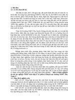 Một số kinh nghiệm ôn thi tốt nghiệp THPT môn địa lí 12 phần lí thuyết tại trường THPT thọ xuân 4 