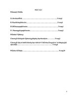 Vận dụng phương pháp dạy học theo dự án , tích hợp với nghị luận xã hội trong dạy học văn bản “chiếc thuyền ngoài xa” của nguyễn minh châu 