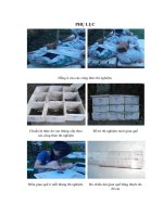 Nghiên cứu khả năng sử dụng bã thải sắn làm thức ăn nuôi giun quế (perionyx excavatus) (phụ lục) 