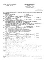 de_thi_tin_hoc_khoi_10_ma_de_896_hki_nam_hoc_20132014.pdf