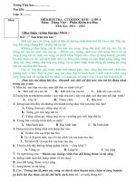 DE THI TIENG VIET CUOI HKII LOP 4