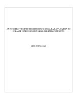 an investigation into the efficiency of esl lab application to enhance communicative skill for ethnic students 