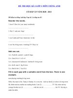 2 Đề thi tiếng Anh lớp 3 học kì 2 năm 2021 có đáp án