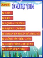 Bo suu tap anh Sinh hoc 6 phan 7ppt