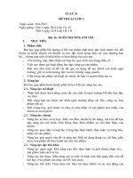 Giáo án tuần 31 Mĩ thuật Lớp 1 2 3 4 5