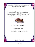 Sang kien kinh nghiem Toan 8