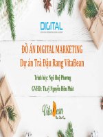 ĐỒ ÁN DIGITAL MARKETING Dự án Trà Đậu Rang VitaBean
