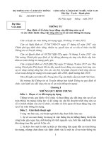 Quy định về tổ chức, hoạt động của đội ứng cứu sự cố và các chức danh công việc ứng cứu sự cố an toàn thông tin mạng