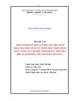 Kinh nghiệm sử dụng có hiệu quả một số kĩ thuật dạy học tích cực nhằm phát triển phẩm chất, năng lực học sinh khi dạy môn hoá học 8 tại trường THCS a 