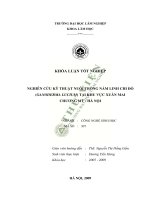 Nghiên cứu kỹ thuật nuôi trồng nấm linh chi đỏ tại khu vực xuân mai, chương mỹ , hà nội 