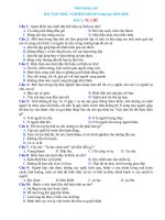 Bài tập trắc nghiệm Giáo dục công dân 9 – Bài 2: Tự chủ