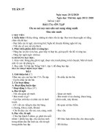 Tuần 17