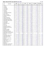 DIEM TONG KET CA NAM