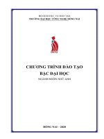 TRƢỜNG ĐẠI HỌC CÔNG NGHỆ ĐỒNG NAI CHƢƠNG TRÌNH ĐÀO TẠO BẬC ĐẠI HỌC NGÀNH NGÔN NGỮ ANH